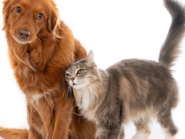 Sometimes just being there is not&nbsp;enough