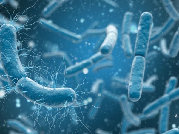 The Biofilm and growing resistance to&nbsp;antibiotics